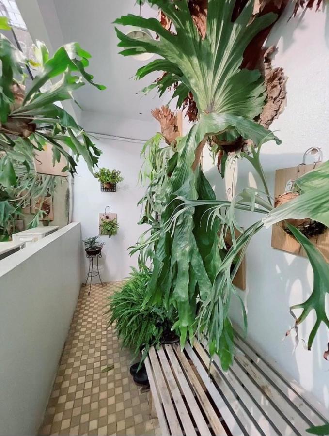 Home In Тайнан Екстериор снимка